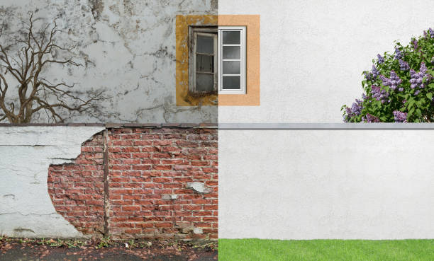 Professional Mold Removal in Warm Springs, OR